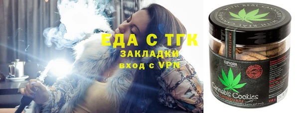 индика Волосово