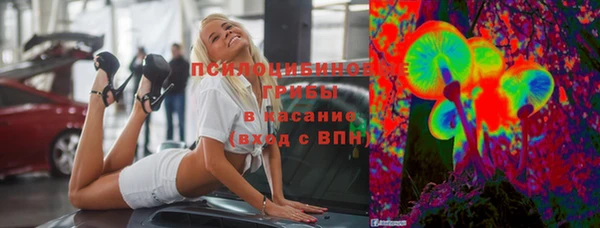 индика Волосово