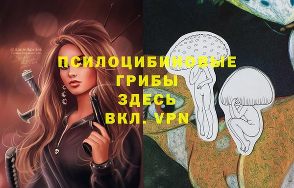ECSTASY Бронницы