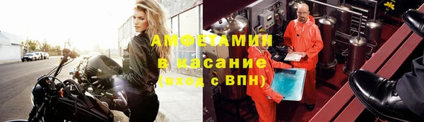 индика Волосово