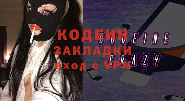 индика Волосово