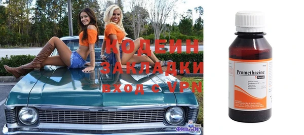 индика Волосово