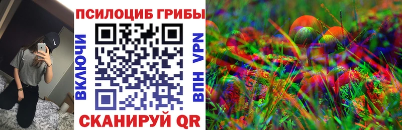 наркотики  Калач  Галлюциногенные грибы мицелий 